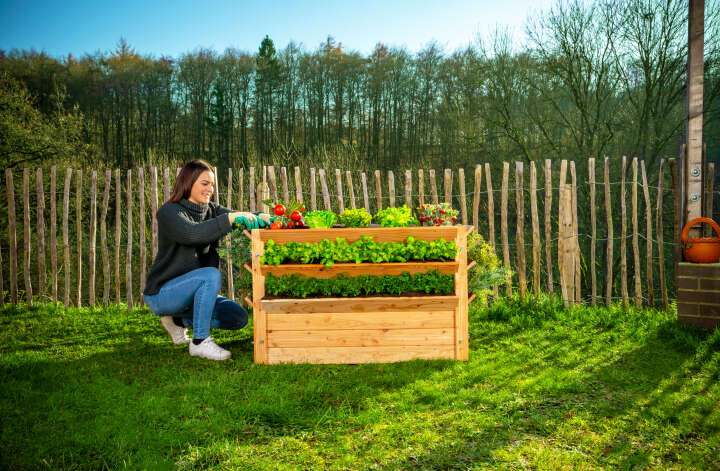 WESTMANN Hochbeet Premium